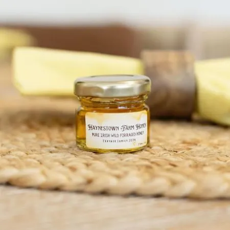 Appartement Castlestone & Naas